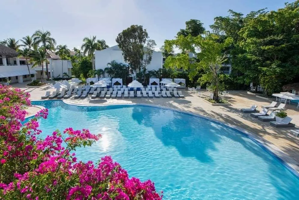 Travel X A clear blue swimming pool is surrounded by lounge chairs and umbrellas at this luxurious resort, with vibrant pink flowers in the foreground and green trees in the background. Book your trip with Travel X and experience paradise. Book Your Trip With Travel X