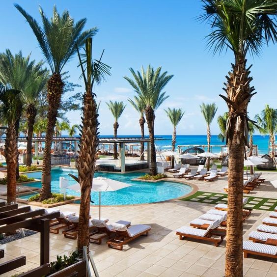 Travel X A tropical resort with a pool surrounded by palm trees, sun loungers, and umbrellas, overlooking a sandy beach and the ocean under a clear blue sky. Book your trip to this paradise with Travel X today! Book Your Trip With Travel X