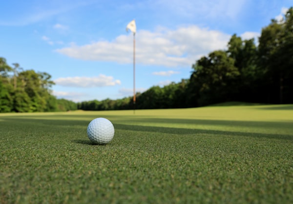 Travel X Close-up of a golf ball on the green with the flagstick and hole in the background, set against a backdrop of trees and a blue sky with clouds. It's the perfect scene for a relaxing day at your favorite golf resort. Book your trip now and enjoy this idyllic vacation setting. Book Your Trip With Travel X