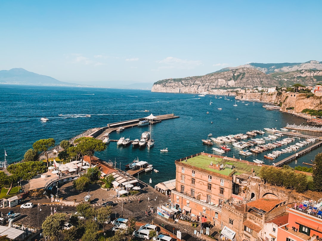 Travel X Aerial view of a coastal resort town with a marina filled with boats, nearby buildings, and a backdrop of mountains under a clear blue sky, perfect for an unforgettable vacation. Book Your Trip With Travel X